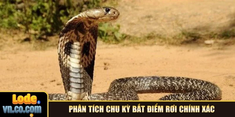 Phân tích chu kỳ bắt điểm rơi chính xác